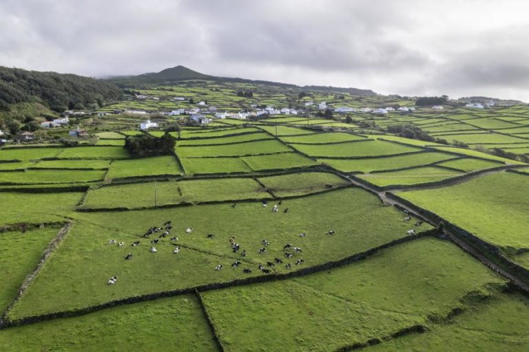 Sismos de magnitude 2,0 e 1,9 e na escala de Richter sentidos na ilha Terceira