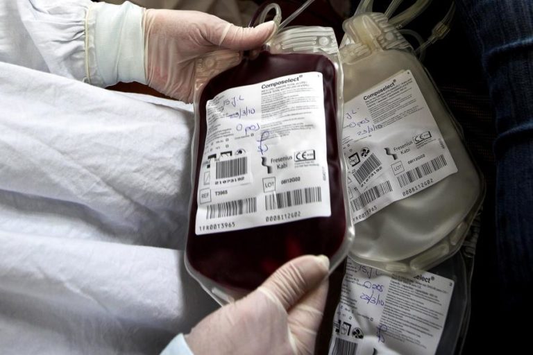 Federação pede mobilização urgente de dadores para evitar falta de sangue nos hospitais