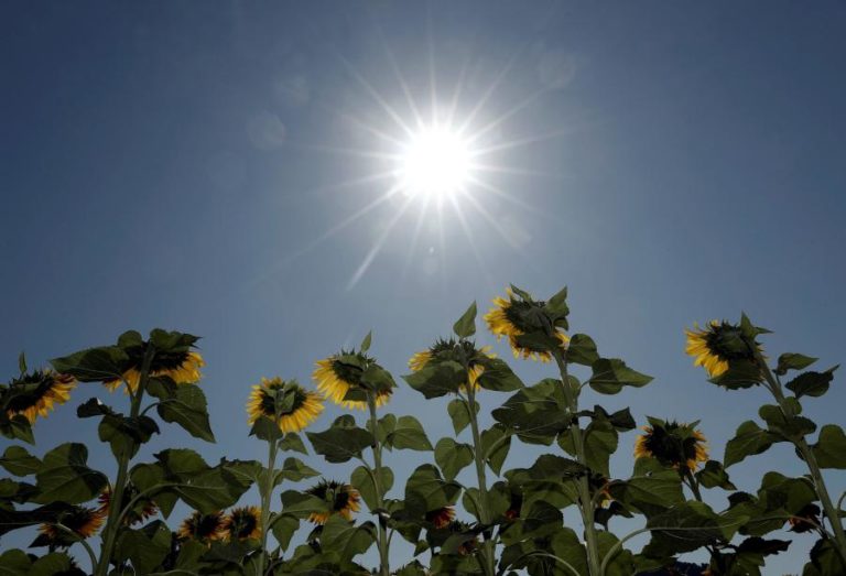 Temperaturas sobem a partir de terça-feira e podem ultrapassar os 30 graus