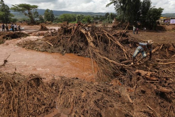 42769840.jpg