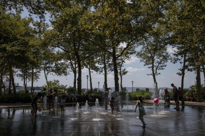 41264088.jpg