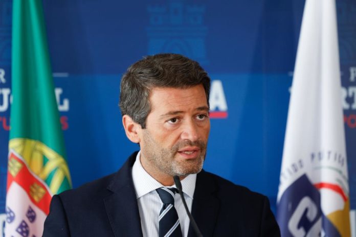 43135931.JPG