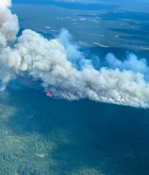 B4-01-VT INCENDIO NEWFOUNDLAND NA 062424