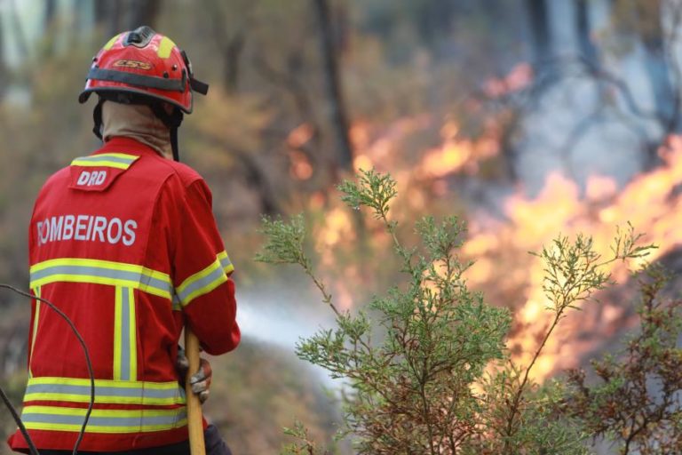 Dezoito concelhos de Faro, Bragança e Portalegre em perigo máximo de incêndio