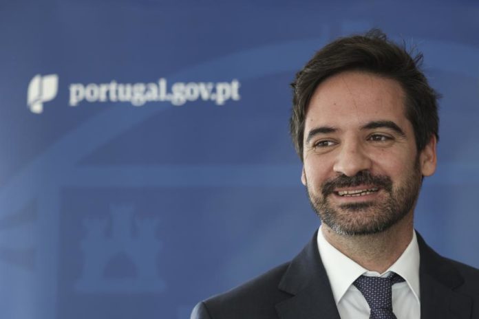 43162512.jpg