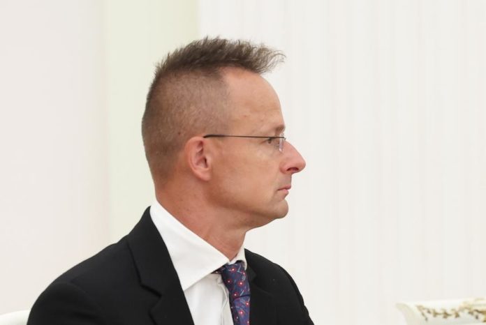 43166642.jpg