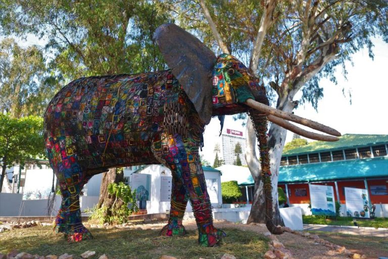 Elefante “Madala” em Maputo para assinalar sete anos sem caça furtiva na Reserva do Niassa