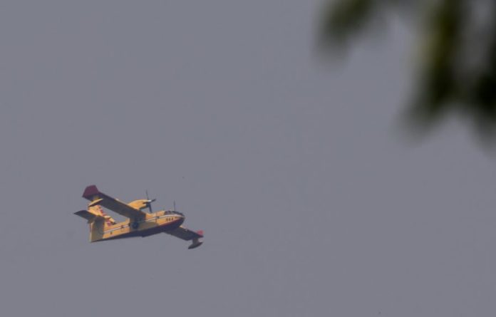 43231572.jpg