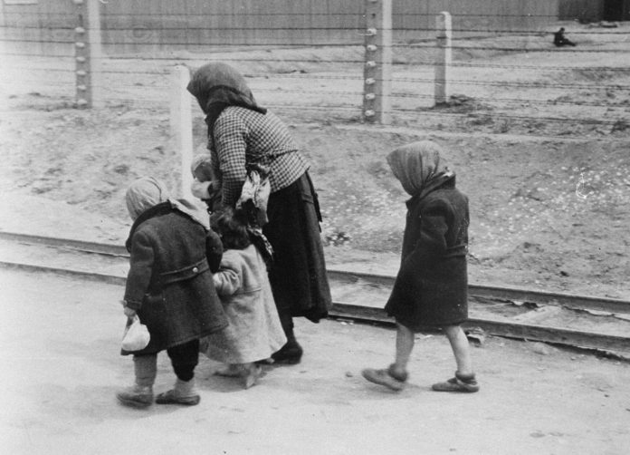 1389.3 Holocaust F