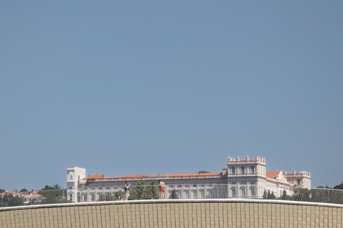 41240009.jpg