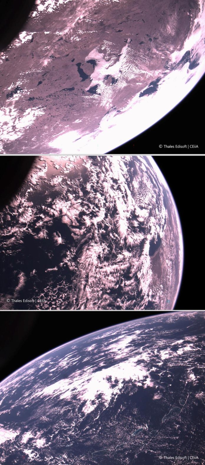 43147880.jpg