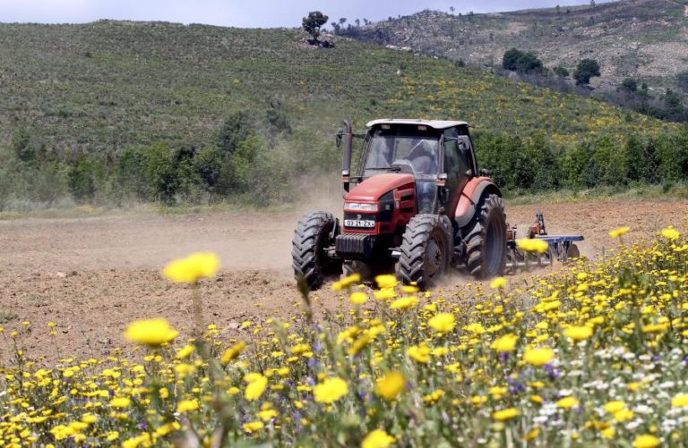 IFAP pagou quase 54 ME aos agricultores até 23 de agosto