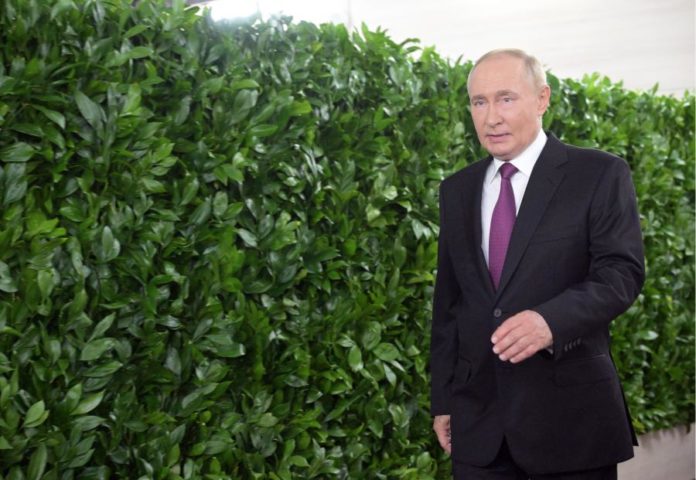 43507166.jpg