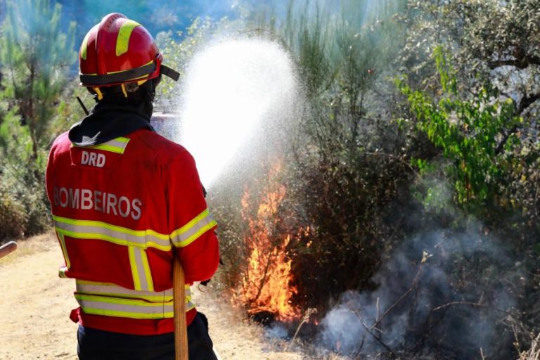 Madeira manifesta disponibilidade para ajudar no combate aos fogos no continente
