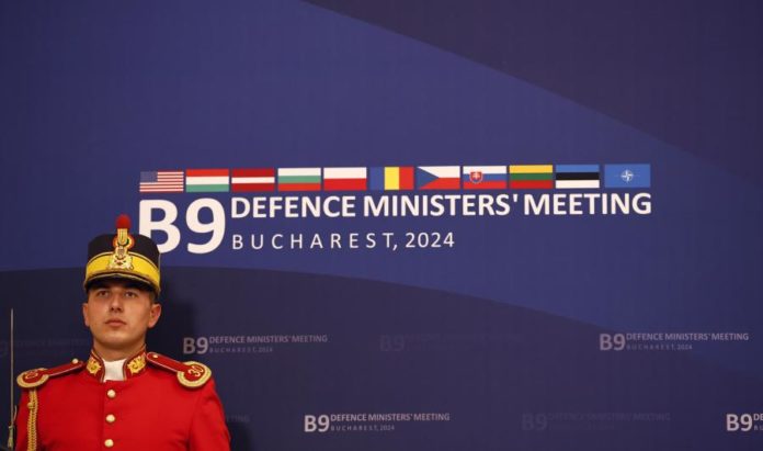 43580206.jpg