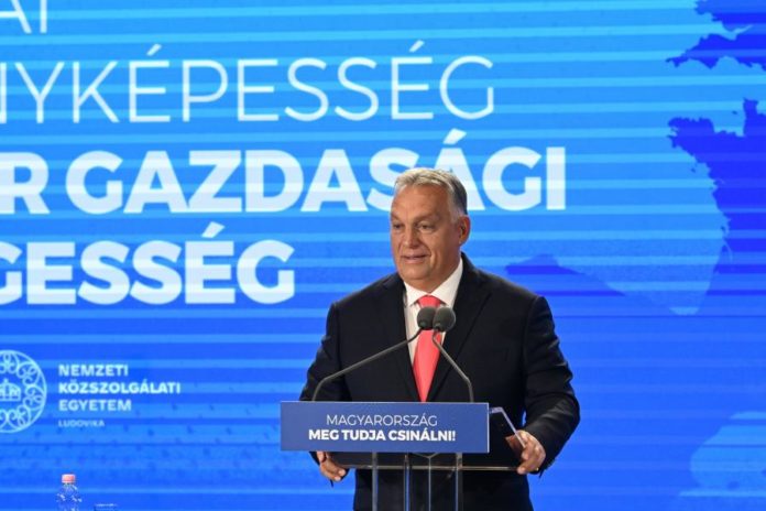 43618391.jpg