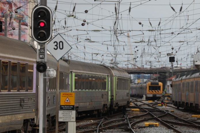40375046.jpg