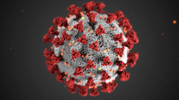 B2-01-VT ESTUDO SEQUELAS COVID LS 102124