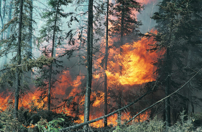 B4-02-VT INCENDIOS DESABRIGA MILHARES MA 100224