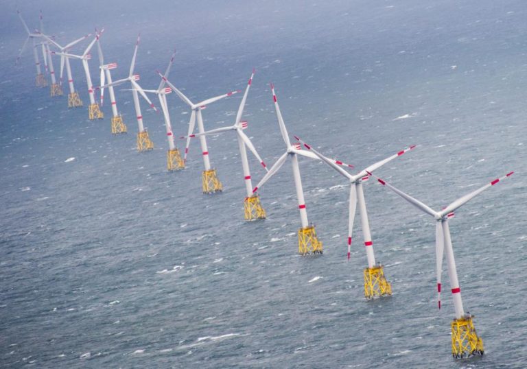 COP29: Secretária de Estado do Mar reafirma aposta na energia eólica ‘offshore’