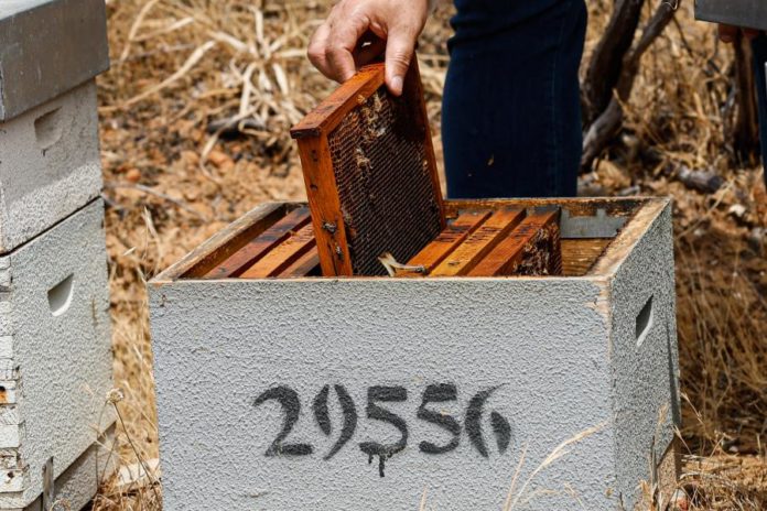 40882970.jpg