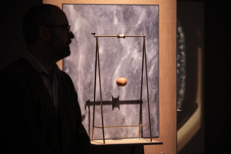 Serralves acolhe maior exposição monográfica de Francisco Tropa