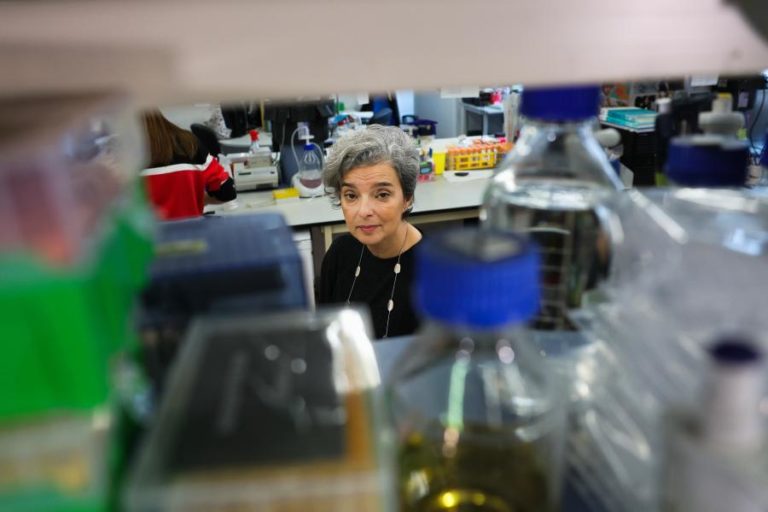 Maria Manuel Mota contra o “crónico subfinanciamento” na ciência