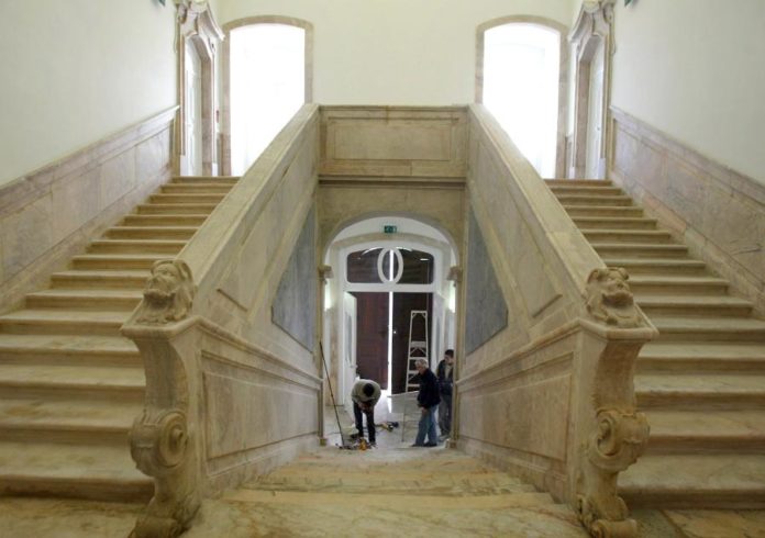 6515257.jpg