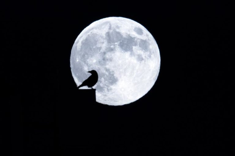Lua pode ser mais velha do que o estimado , segundo um estudo