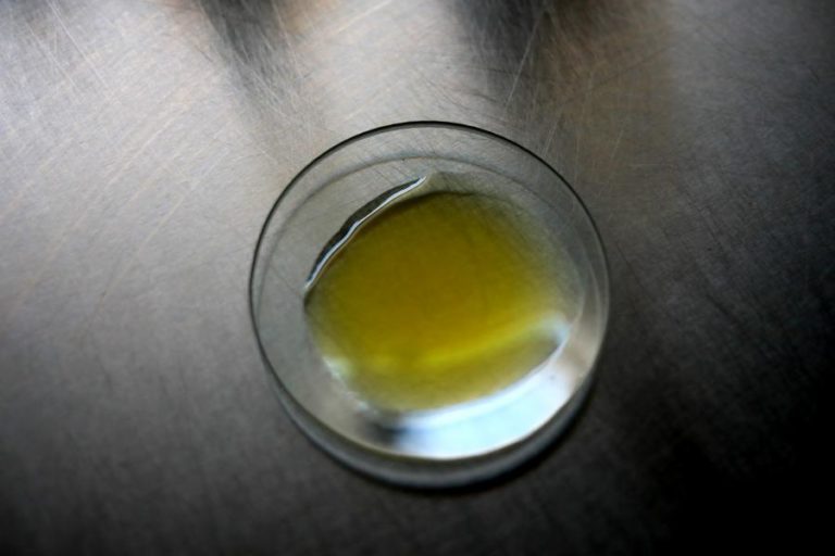 Preço do azeite desce quase 30% em 2024