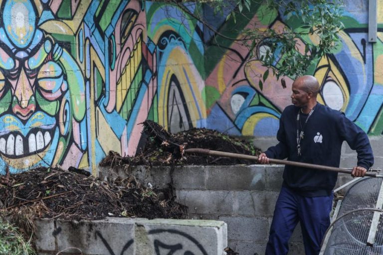 Jardim plantado em carpetes forra paredes e mantém temperatura na cozinha da FCUL