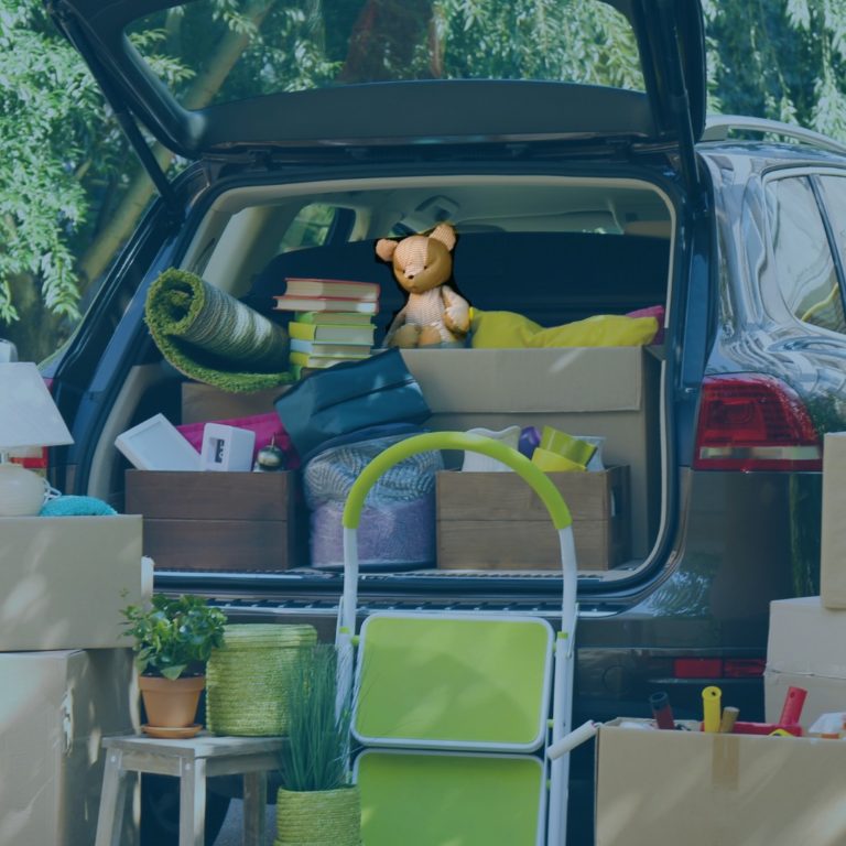 Voluntariado: Vítimas de violência doméstica beneficiam de apoio contínuo na época festiva