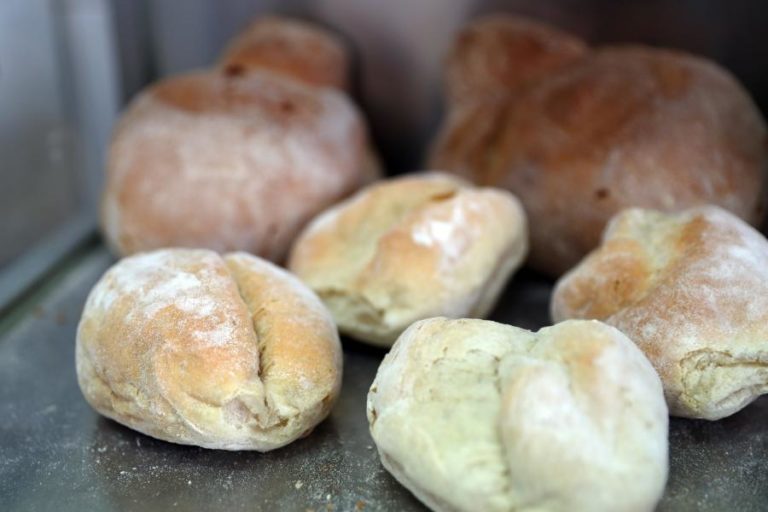 Bruxelas autoriza uso de pó de larvas inteiras em alimentos