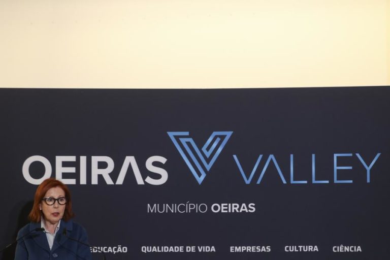 Ministra diz que alteração à lei dos solos visa construir mais habitação pública