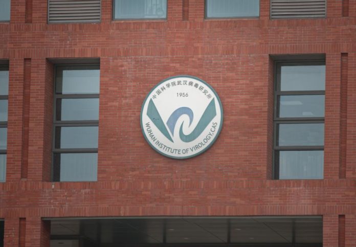 44270185.jpg