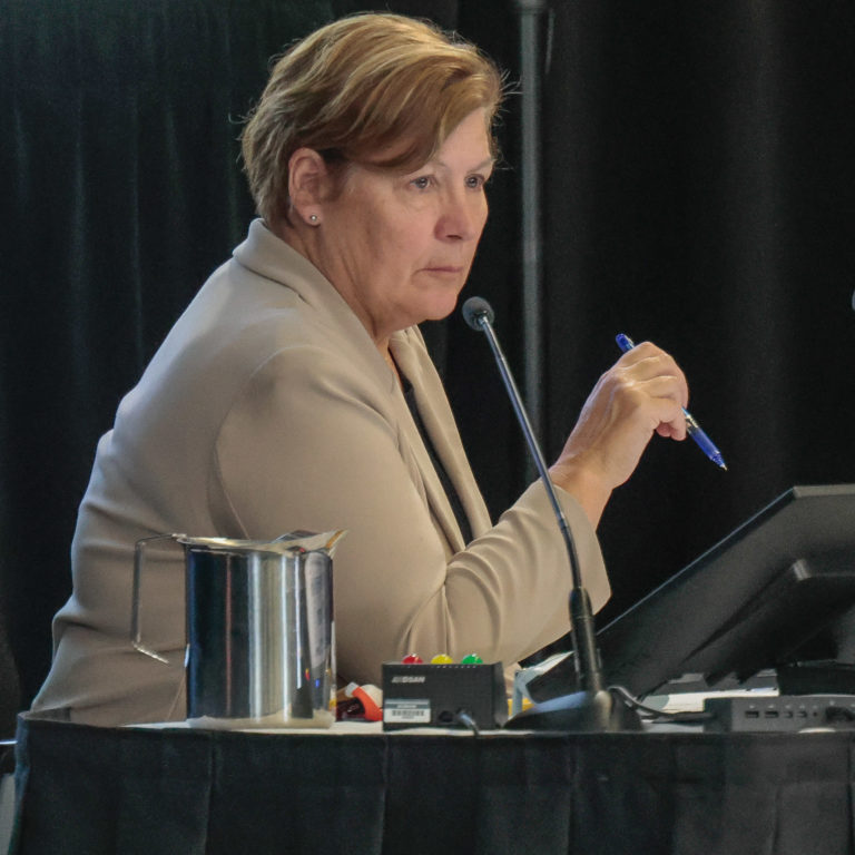 Política: Não há provas de interferência estrangeira nas eleições, conclui relatório