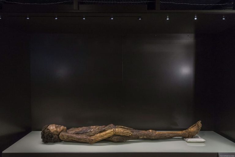 Museus nacionais de Espanha retiram de exposição múmias e partes de corpos humanos
