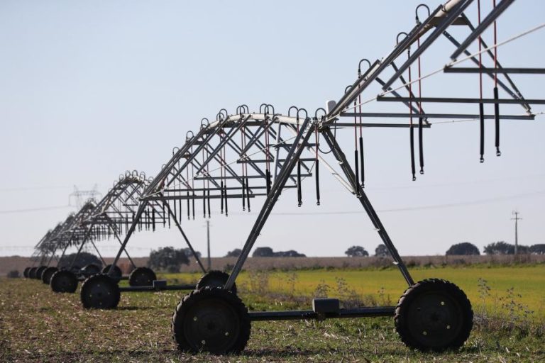 Reprogramação do PEPAC aprovada com aumento do rendimento dos agricultores