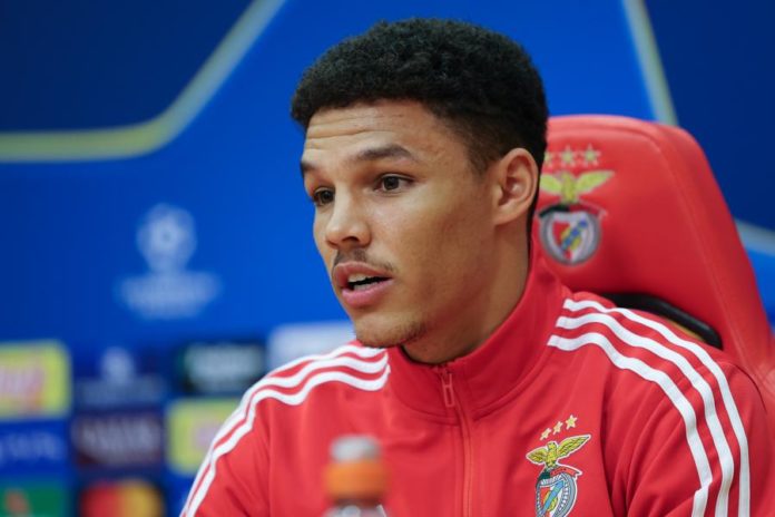 44056788.jpg
