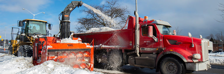 Meteorologia: Toronto e GTA com mais de 20 centímetros de neve após tempestade