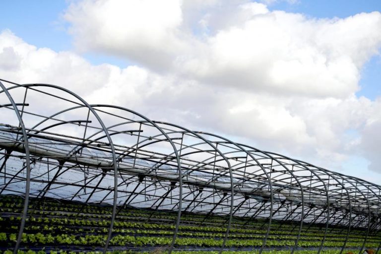 Ministro disse que já foi pedido levantamento dos estragos na agricultura devido ao mau tempo