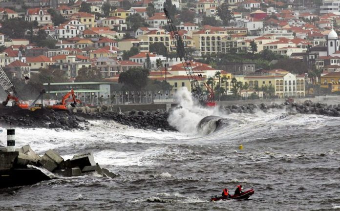 17039668.jpg
