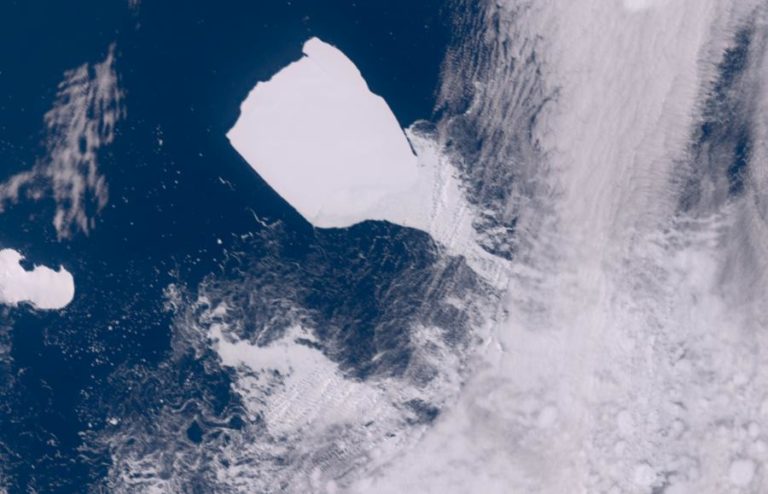 Maior icebergue do mundo trava avanço e encalha a 70 quilómetros de ilha rica em fauna
