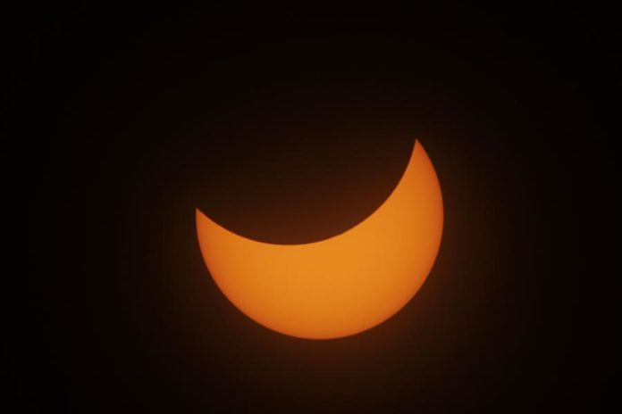 42649313.jpg