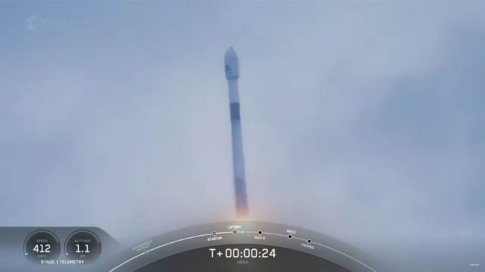 43691212.jpg