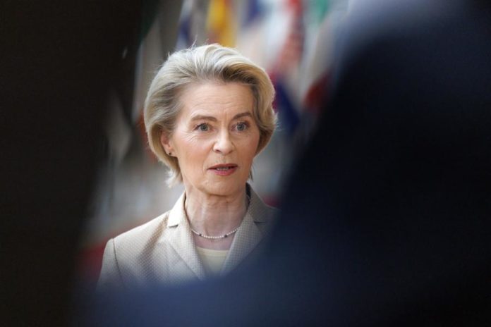44398473.jpg