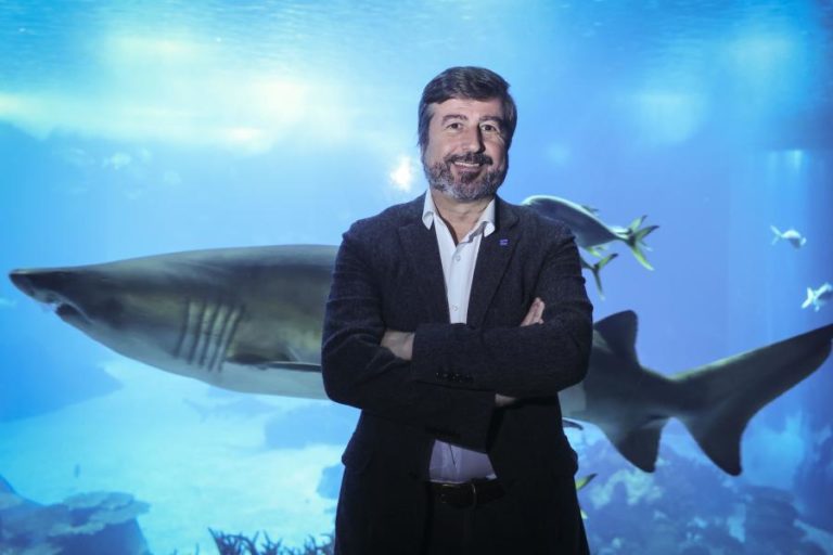 Dezenas de especialistas reúnem-se em Paris para preparar conferência dos oceanos de Nice