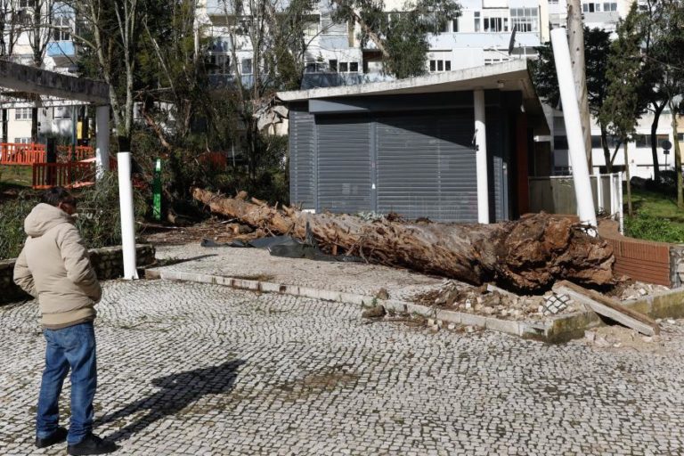 Seguradoras registaram 28 ME em danos em mais de 14.000 ocorrências