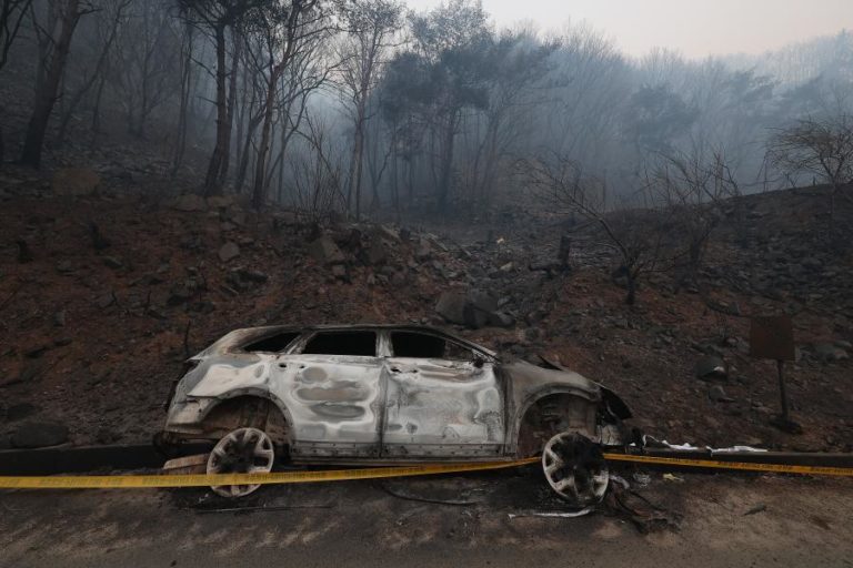 Série de fogos florestais já fez 18 mortos na Coreia do Sul