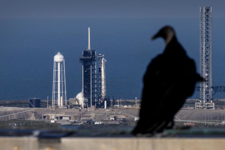 SpaceX lança primeira missão espacial tripulada sobre os pólos da Terra